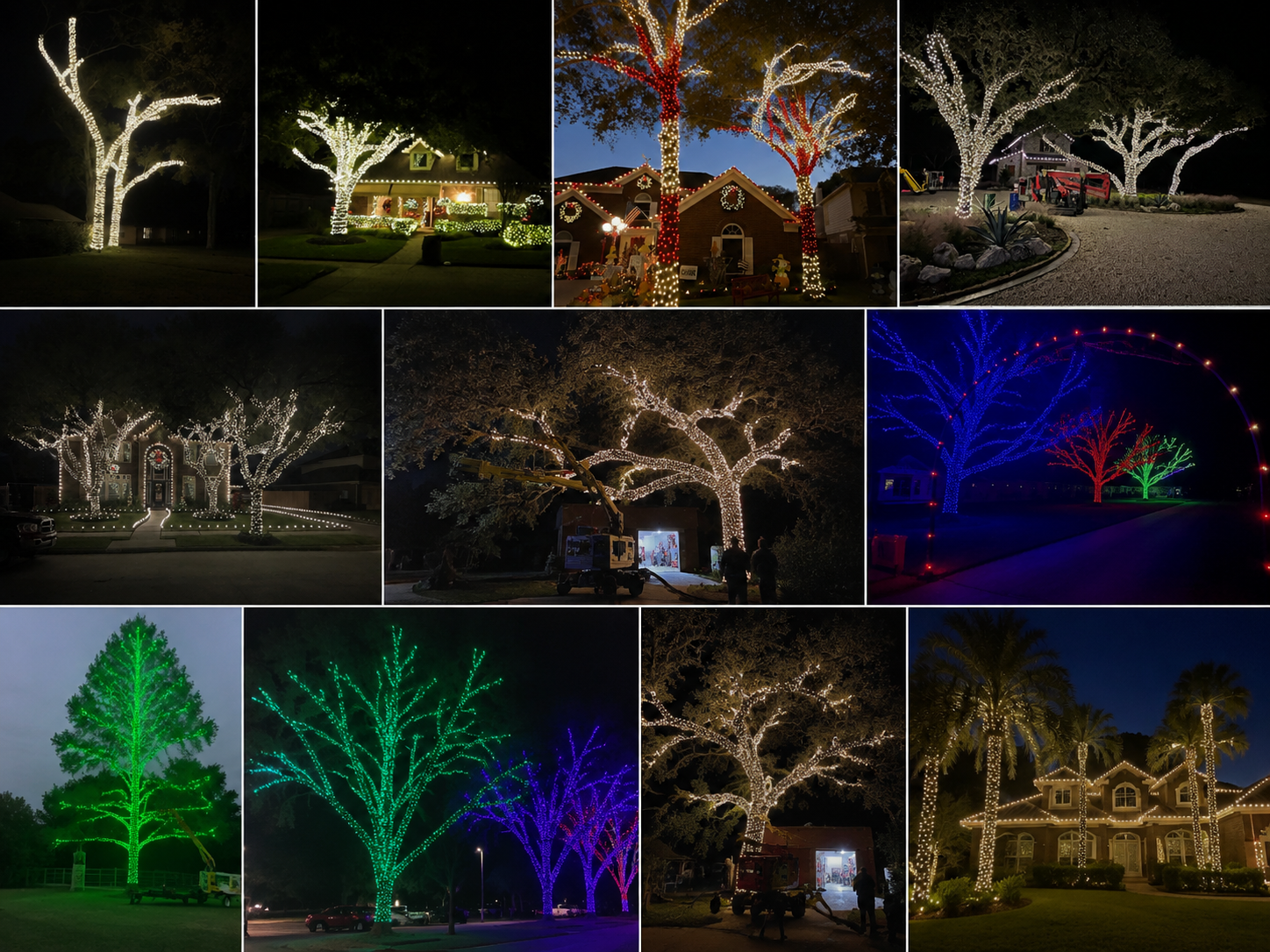 Tree Lighting